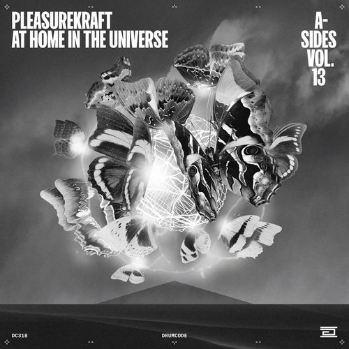 At Home In The Universe