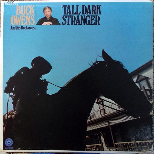 Tall Dark Stranger