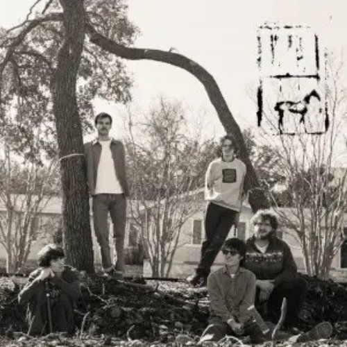 Skin and Bone - Single