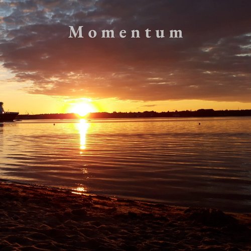 Momentum