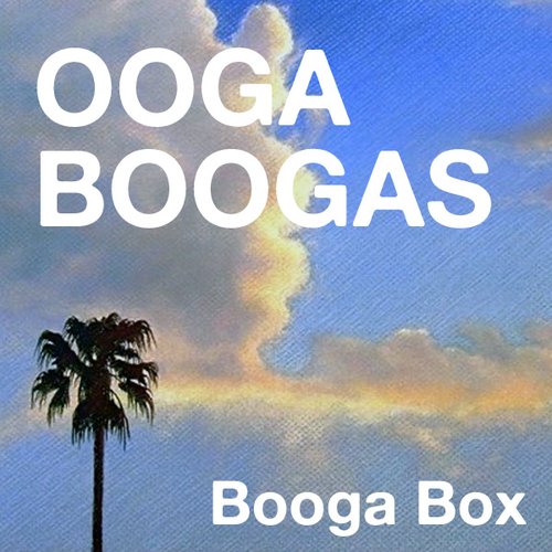 Booga Box