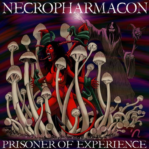 Prisoner of Experience
