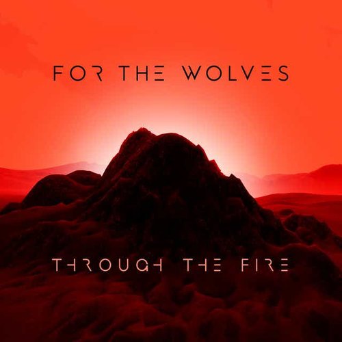 Through the Fire - Single