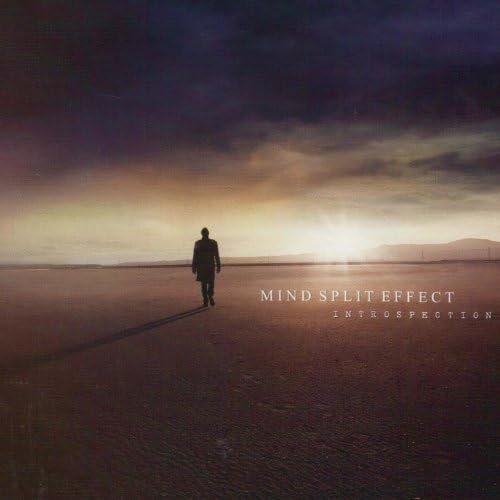 Introspection