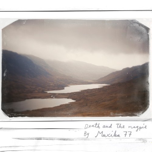 Death And The Magpie