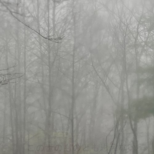 森