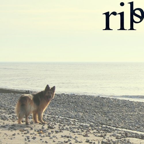 rip