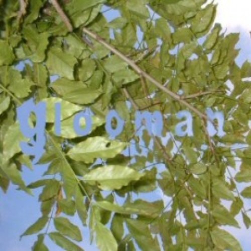 GLOOMAN first batch