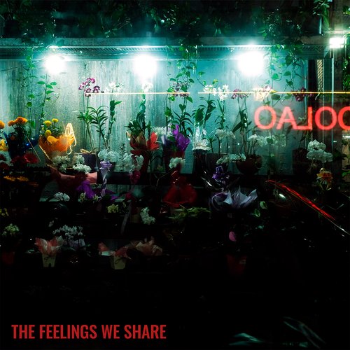The Feelings We Share