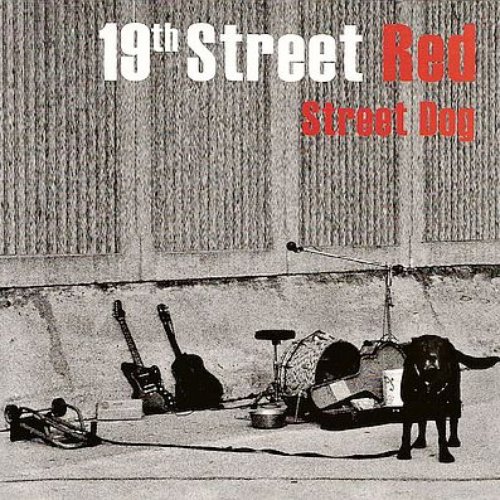 Street Dog