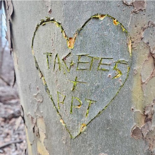 Tagetes <3's PersonPlaceThing - Single