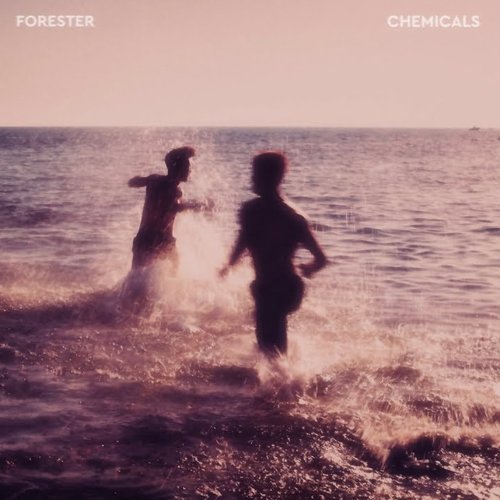 Chemicals