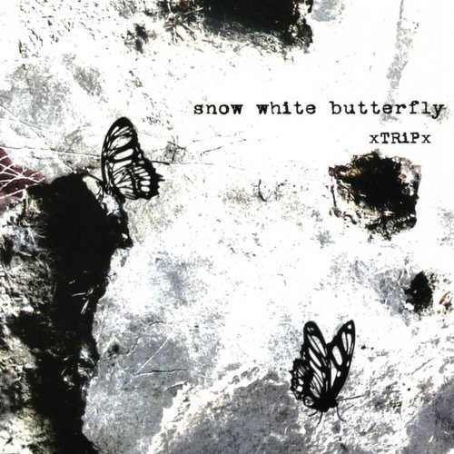 snow white butterfly