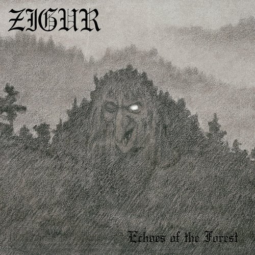 Echoes of the Forest