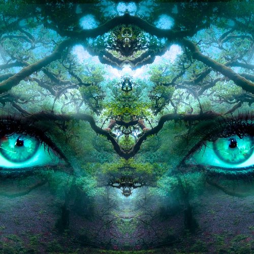 Into the Wild - Single