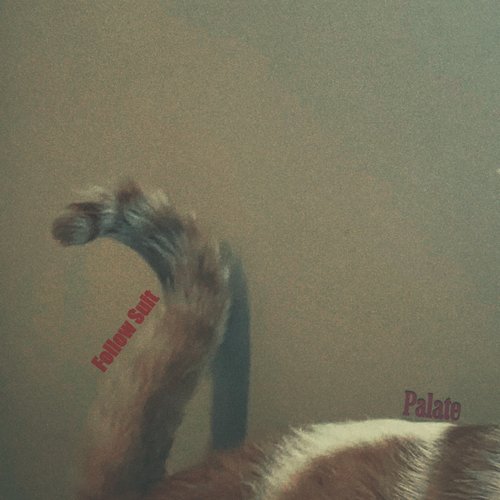 Follow Suit (Single Mix)