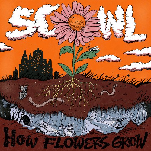 How Flowers Grow