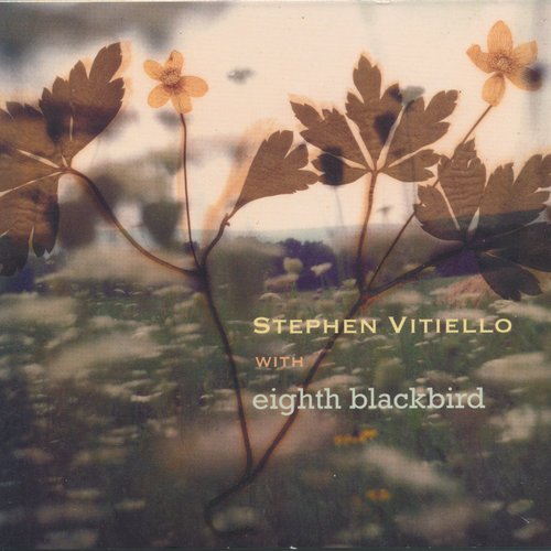 Stephen Vitiello With Eighth Blackbird