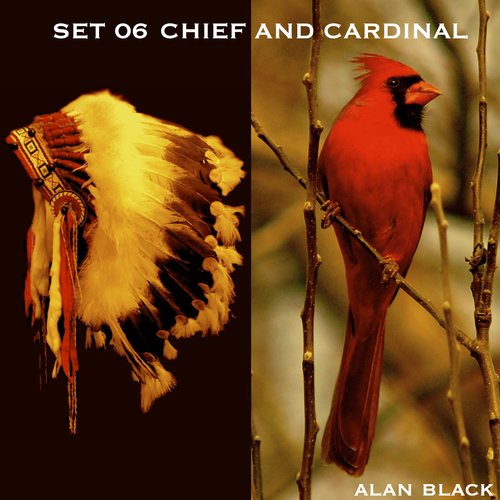 Set 06 - Chief and cardinal