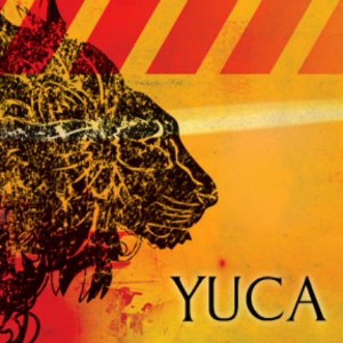 Yuca