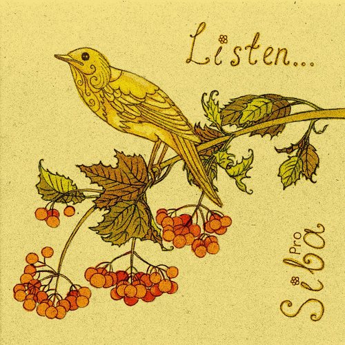 Siba.pro - "Listen..." 2012