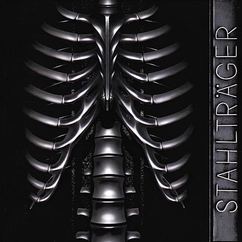 Thorax
