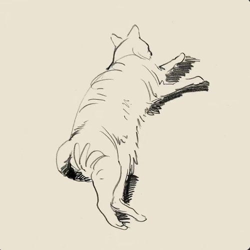 Catnaps - Single