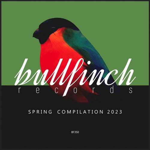 Bullfinch Spring 2023 Compilation