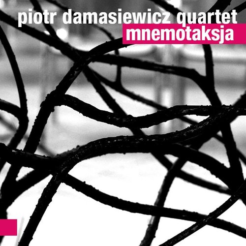 Mnemotaksja