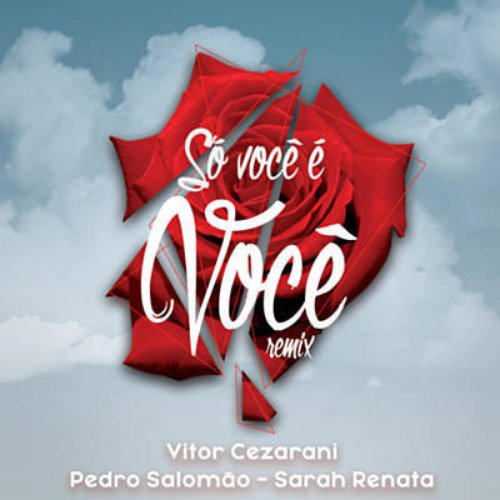 Só Você É Você (Vitor Cezarani Remix)