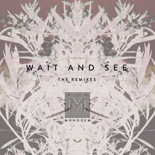Wait and See (The Remixes)
