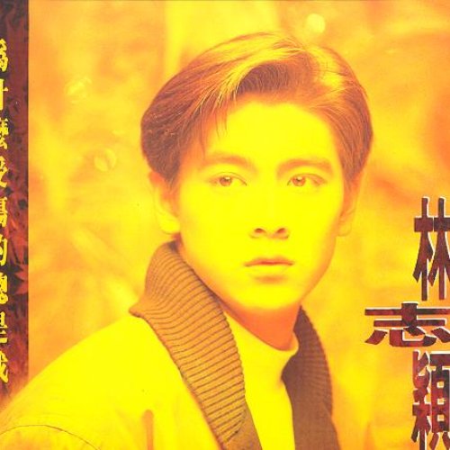 为什么受伤的总是我
