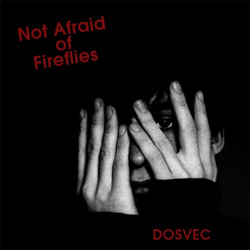 "Not Afraid of Fireflies" Owl City vs Eminem
