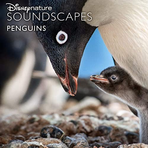 Disneynature Soundscapes: Penguins