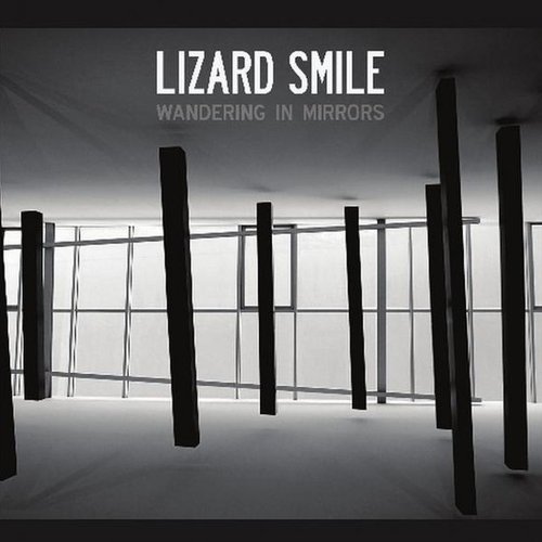 Wandering In Mirrors