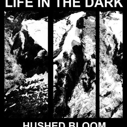 Hushed Bloom