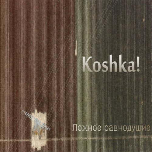 Ложное равнодушие