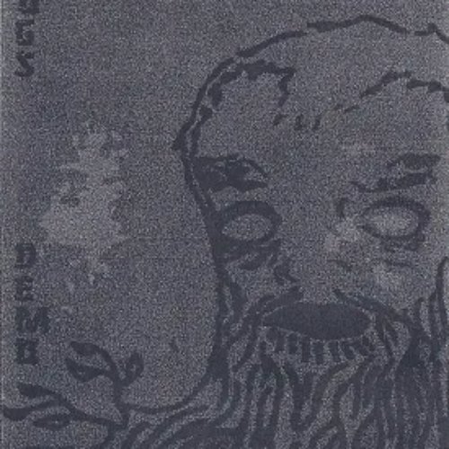 Demo