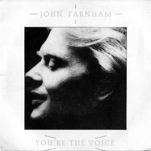 You're The Voice