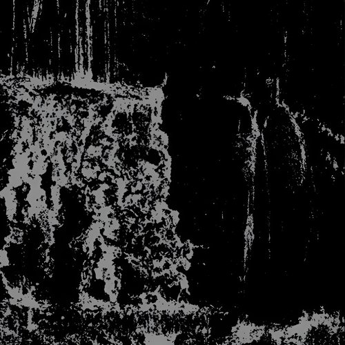 XVI