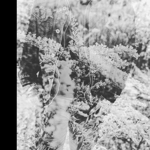 an exercise in the patterns of your own stillness