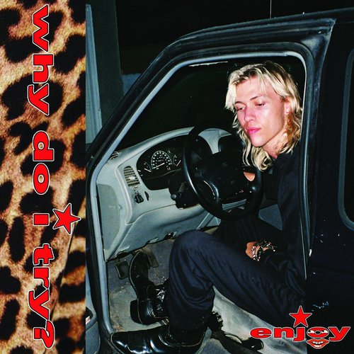 Why Do I Try? - Single