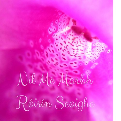 Níl Mé Marbh - Single