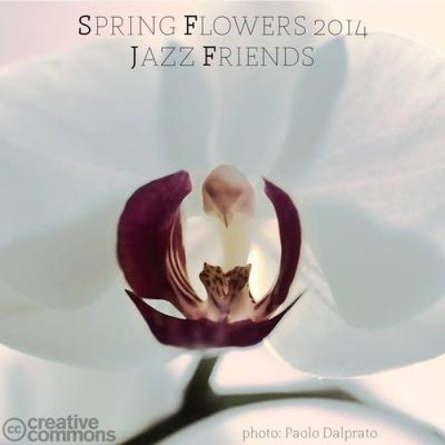 Spring Flowers 2014