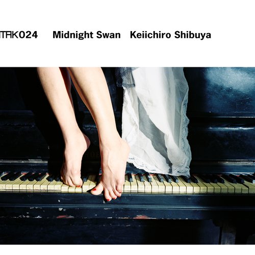 ATAK024 Midnight Swan