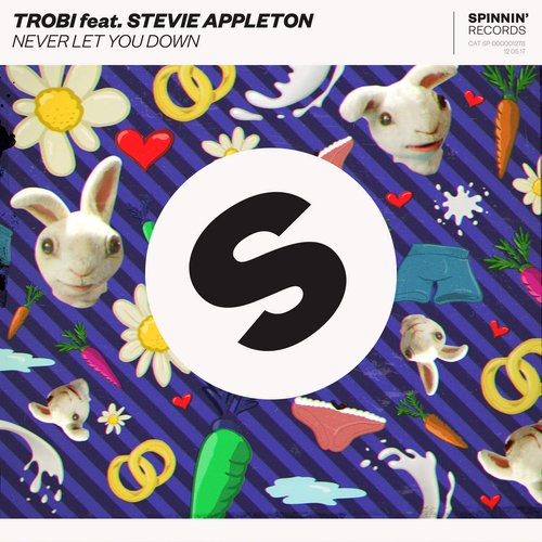 Never Let You Down (feat. Stevie Appleton) - Single