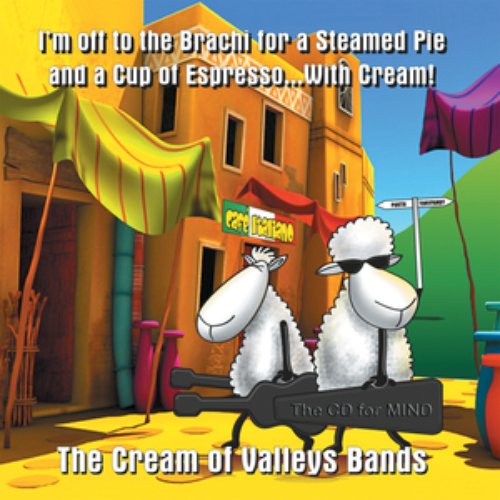 The Cream of Valleys Bands