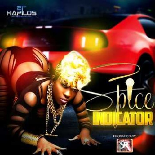 Indicator - Single