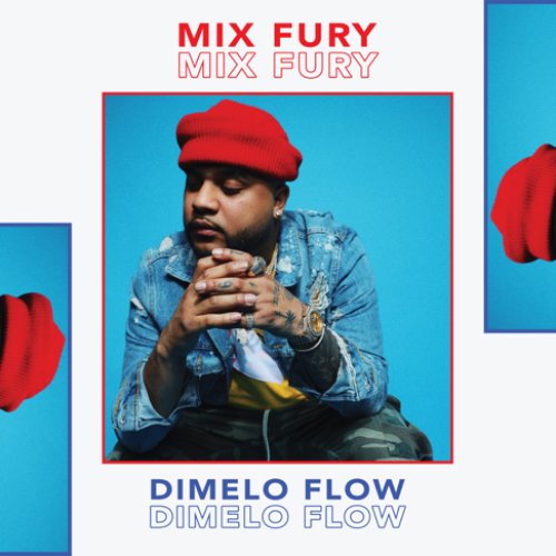 Mix Fury (DJ Mix)