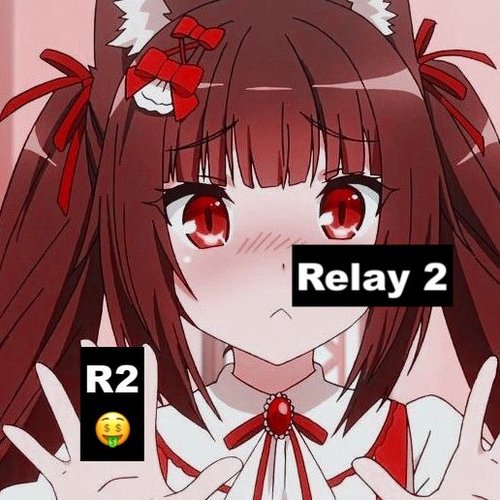 RELAY 2